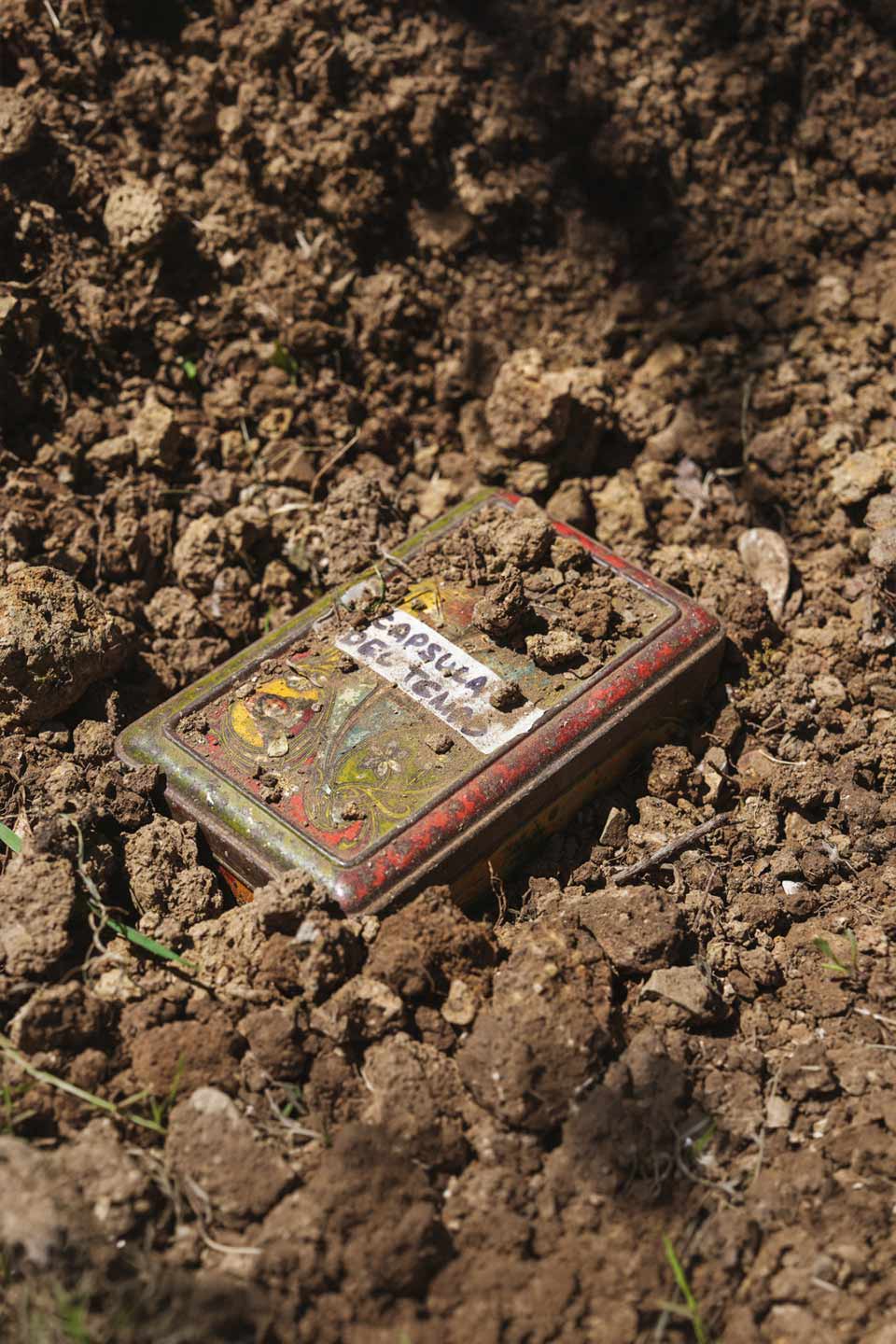 Sustainability Report 2025