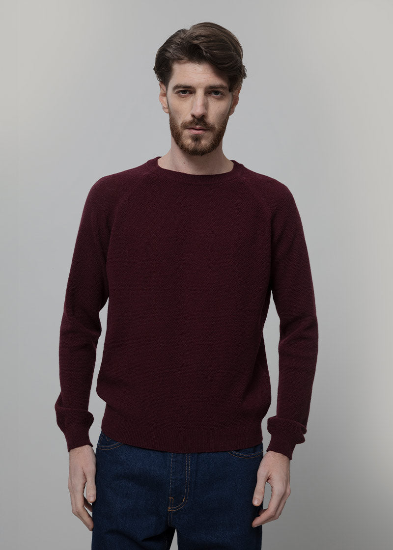 Maglioncino Uomo Lana Extrafine Maglia Girocollo Massimo - Rifò Lab Moda circolare made in Italy
Viola Uva